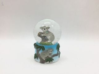Obrázek z Sněžítko koala 6,5cm (6) 